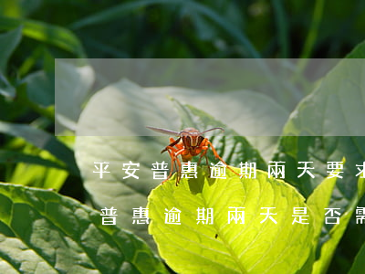 平安普惠逾期兩天要求全額還是真的嗎，平安普惠：逾期兩天是否需要全額還款？真相揭秘